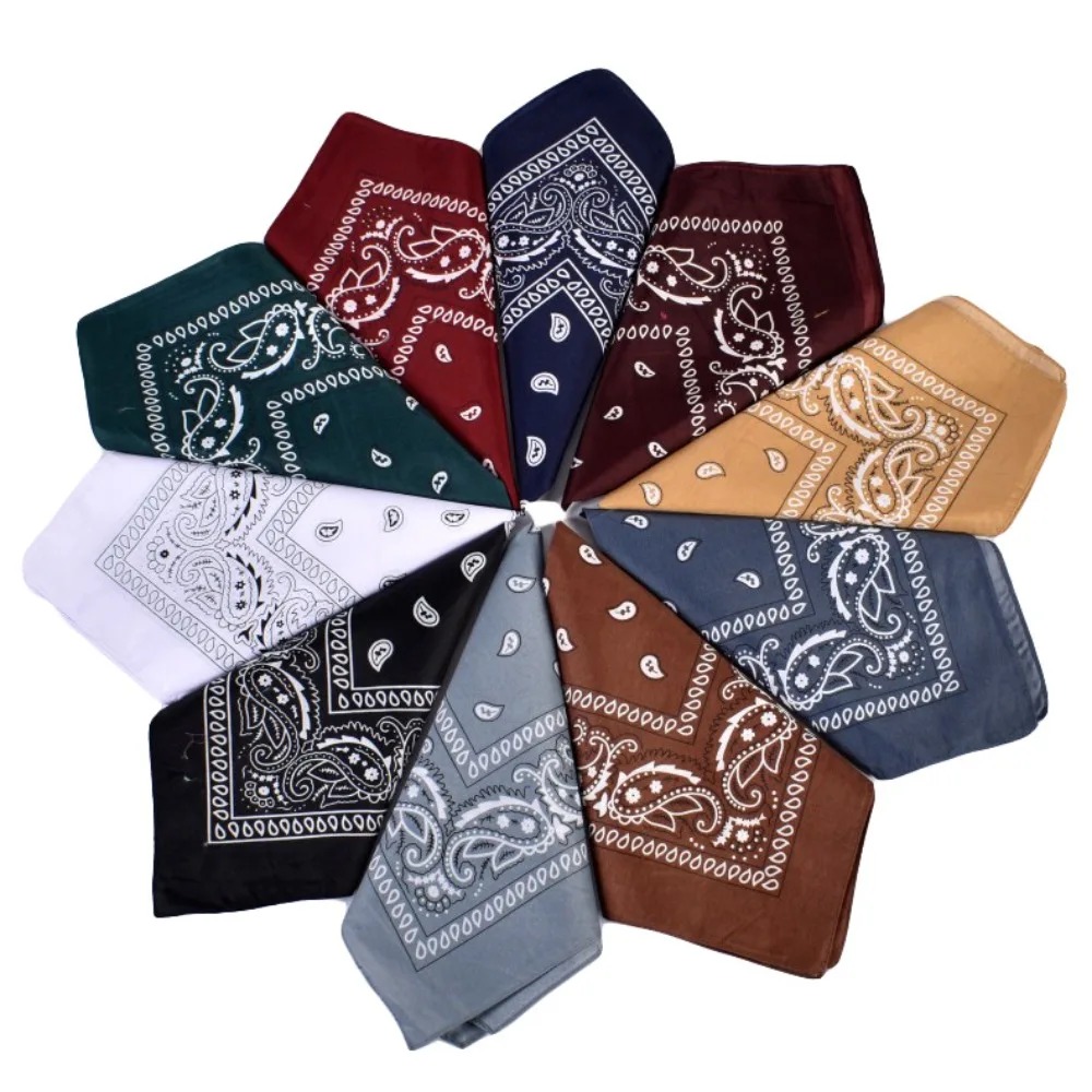 Hip Hop Cowboy Paisley Scarf L - Face Scarf Mask recension och pris